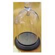 Pocket Watch Display Dome
